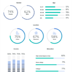Infographic on Social Media Demographics