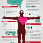 Anatomy of Content Marketing Infographic